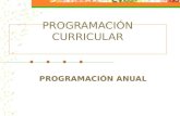 PROGRAMACIÓN CURRICULAR PROGRAMACIÓN ANUAL. DIVERSIFICACIÓN CURRICULAR Programación Anual Proyecto Curricular de Centro (PCC) Propuesta Pedagógica Proyecto.