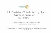 E l Cambio Climático y la Agricultura en El Perú: Estrategias de Adaptación (Casos de la Zona Andina) Adaptación al Cambio climático en el Ámbito Rural.