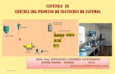 66201828 Capitulo III Cinetica Del Proceso de Flotacion de Minerales