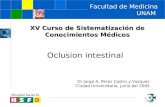 Oclusion intestinal Dr Jorge A. Perez Castro y Vazquez Ciudad Universitaria, junio del 2005 Facultad de Medicina UNAM XV Curso de Sistematización de Conocimientos.