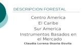DESCRIPCION FORESTAL Centro America El Caribe Sur America Instrumentos Basados en el Mercado Claudia Lorena Osorio Davila.