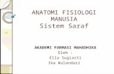 Anatomi Fisiologi Manusia Saraf Reg