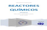 Reactores Quimicos Universidad de Barcelona