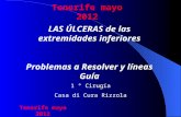 LAS ÚLCERAS de las extremidades inferiores Problemas a Resolver y líneas Guía 1 ° Cirugía Casa di Cura Rizzola Tenerife mayo 2012.