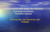 Universidad del Valle de México Campus Cumbres Derecho Laboral Formación del Derecho del Trabajo.
