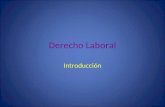Derecho Laboral Introducción. Derecho Laboral Curso: 1.Introducción al Derecho Laboral Analizar los antecedentes y la evolución del Derecho Laboral para.