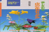 Yoshihide Momotani - Origami Alpine Flowers (Yama No Hana Origami) - 1995