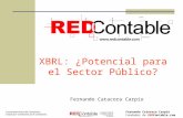 Fernando Catacora Carpio Fundador de REDContable.com Comunidad Virtual de Contadores, creada por Contadores para Contadores XBRL: ¿Potencial para el Sector.