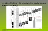 4. Microfósiles y la edad de los sedimentos: Bioestratigrafía Gonzalo Jiménez Moreno Curso 09-10.