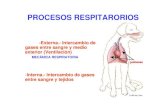 Temas 57 y 58 Respiracion Mecanica y Regulacion