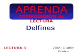 APRENDA Delfines 2009 Quinín Freire LECTURA 3 COMPRENSIÓN de LECTURA.