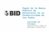 Papel de la Banca Pública de Desarrollo en la Productividad de las Pymes Fernando de Olloqui Especialista Líder en Mercados Financieros.
