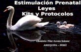 Estimulación Prenatal Leyes Kits y Protocolos Obstetriz: Pilar Acosta Salazar AREQUIPA – PERÚ