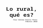 Lo rural, qué es? Flor Edilma Osorio Pérez Febrero 2010.