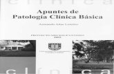 Apuntes de Patologia Clinica Basica