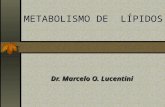 METABOLISMO DE LÍPIDOS Dr. Marcelo O. Lucentini Dr. Marcelo O. Lucentini.