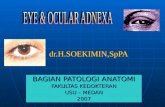 MATA & Ocular Adnexa ( Bahan Kuliah Kedokteran