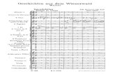 Geschichten Aus Dem Wienerwald Op. 325 (Tales From the Vienna Woods)