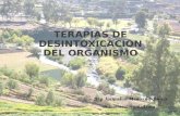 TERAPIAS DE DESINTOXICACION DEL ORGANISMO Dra Jacqueline Montero Schwarz dramontero@gmail.com.