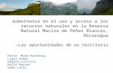 Gobernanza en el uso y acceso a los recursos naturales en la Reserva Natural Macizo de Peñas Blancas, Nicaragua Las oportunidades de un territorio Helle.