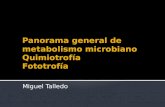 Panorama General Del Metabolismo en bacterias