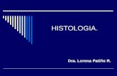HISTOLOGIA. Dra. Lorena Patiño R.. CELULA. Unidad estructural y funcional de los seres vivos. Atributos funcionales: Irritabilidad. Conductividad. Contractilidad.