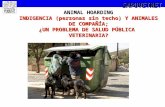 ANIMAL HOARDING INDIGENCIA (personas sin techo) Y ANIMALES DE COMPAÑÍA; ¿UN PROBLEMA DE SALUD PÚBLICA VETERINARIA?