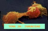 TEMA 20: INMUNIDAD. 20.1.- CONCEPTOS GENERALES Inmunología: Ciencia que estudia la inmunidad. Inmunidad: Es la capacidad de resistir a un agente infectivo,