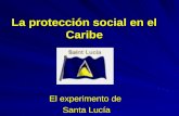 La protección social en el Caribe El experimento de Santa Lucía.