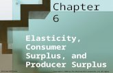 elasticity consumer surplus and producer surplus