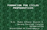 FORMACION POR CICLOS PROPEDEUTICOS M.Sc. Pedro Alfonso Alarcón G. Decano Facultad Ciencias Agropecuarias Universidad de Cundinamarca - Colombia.