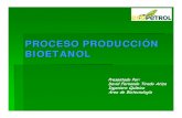 Proceso Bioetanol