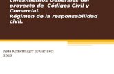 Lineamientos Generales del proyecto de Códigos Civil y Comercial. Régimen de la responsabilidad civil. Aída Kemelmajer de Carlucci 2013.