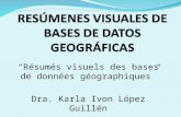 Résumés visuels des bases de données géographiques Dra. Karla Ivon López Guillén.