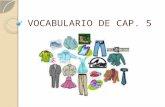 VOCABULARIO DE CAP. 5 ¿Qué son las palabras en español? nióctnur tvsdeoi ecclaho saceletcni cléaman étsrue.