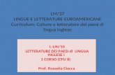 LM/37 LINGUE E LETTERATURE EUROAMERICANE Curriculum: Culture e letterature dei paesi di lingua inglese L-LIN/10 LETTERATURE DEI PAESI di LINGUA INGLESE.