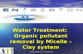 עין גבתון בע " מ - כל הזכויות שמורות 1 Water Treatment: Organic pollutant removal by Micelle – Clay system.