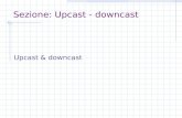 Sezione: Upcast - downcast Upcast & downcast. Coercion Una funzione può essere polimorfa senza essere stata disegnata tale intenzionalmente. Sia f una.