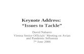 Keynote Address: Issues to Tackle David Nabarro Vienna Senior Officials Meeting on Avian and Pandemic Influenza 7 th June 2006.