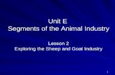 1 Unit E Segments of the Animal Industry Lesson 2 Exploring the Sheep and Goat Industry.