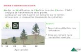 Âge (année) Modèle d'architecture d'arbre : Atelier de Modélisation de l'Architecture des Plantes, CIRAD - analyse de l'architecture de la plante. - calibration.