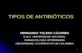 Tipos de antibióticos RED