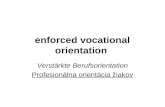 Enforced vocational orientation Verstärkte Berufsorientation Profesionálna orientácia žiakov.