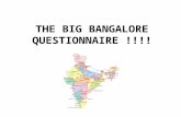 THE BIG BANGALORE QUESTIONNAIRE !!!!. Personal How are you? In control/Out of control/stressed/stoned/unconscious /delirious/not sure ……………………………………………………………………………………………………………………………..
