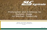 August 2010 Álvaro Luiz Dilli Gonçalves Human Resources and Sustainability Manager Principles and Criteria to Soybean Usage in Biofuel Producing.