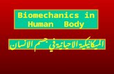 Biomechanics in Human Body الميكانيكية الاحيائية في جسم الانسان.