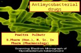 Antimycobacterial drugs Pawitra Pulbutr B.Pharm (Hon.), M. Sc. In Pharm (Pharmacology)