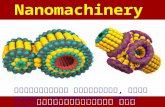 Nanomachinery ภาควิชาฟิสิกส์ คณะวิทยาศาสตร์ มหาวิทยาลัยมหิดล ธีรเกียรติ์