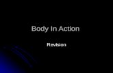 Body In Action Revision. Movement The skeleton is required for: Muscle attachment Muscle attachment Support Support Protection Protection Ribs  Heart.