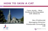HOW TO SKIN A CAT Case study – New Zealand Earthquakes CAT 2010/11 Bev FitzGerald Managing Director FitzGerald Consulting Ltd.